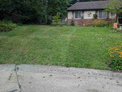Lawn care service in Indianapolis, 46268