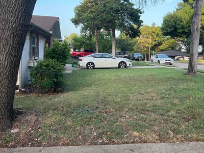 Lawn care service in Dallas, 75232