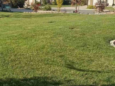 Lawn care service in Murrieta, 92562