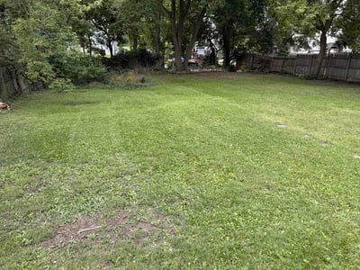 Lawn care service in Lansing, 48906