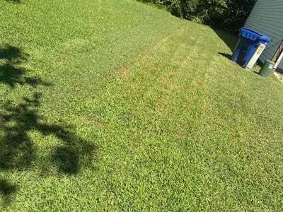 Lawn care service in Portsmouth, 23704