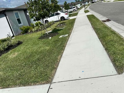 Lawn care service in Sarasota, 34241