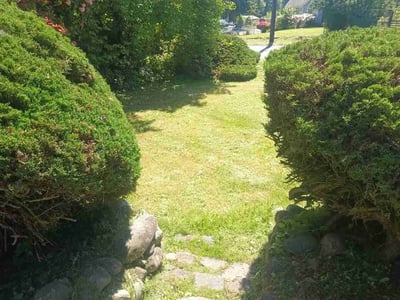 Lawn care service in Tacoma, 98404