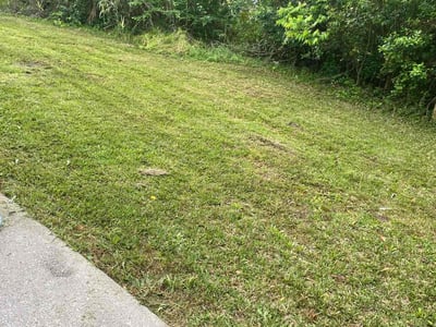Lawn care service in Augusta, 30904