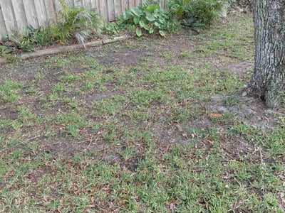 Lawn care service in Cocoa Beach, 32931