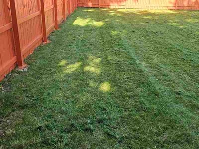 Lawn care service in Milwaukee, 53225