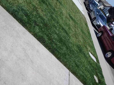 Lawn care service in Riverbank, 95367