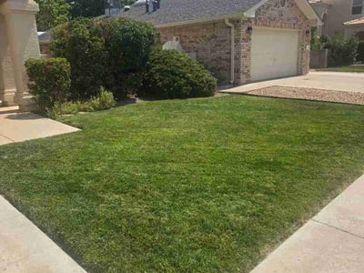 Lawn care service in Albuquerque, 87123