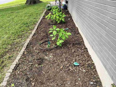 Lawn care service in Saint Charles, 63301