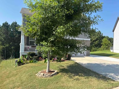Lawn care service in Dallas, 30132