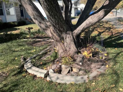Lawn care service in Layton, 84041