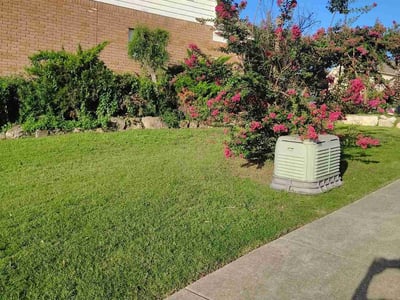 Lawn care service in San Antonio, 78247