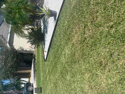 Lawn care service in Tarpon Springs, 34689
