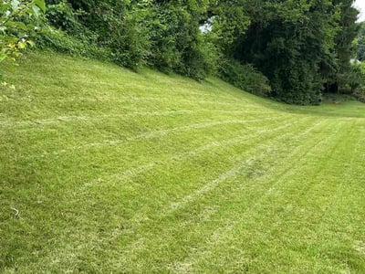 Lawn care service in Towson, 21286
