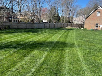 Lawn care service in Greensboro, 27455