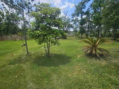 Lawn care service in Jacksonville, 32226