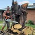 TJ Lawn & Tree Logo