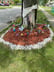 Treway lawncare Logo