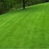 Granger lawn care Logo