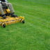 Gabriel Lawn Service & More Logo