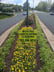Mv landscaping Logo