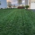 SAS Lawn Care Logo