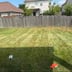 Thorntons Lawn Care service Logo