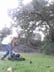 Freemason landscaping sole Proprietor company Logo