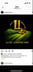 Luxelandscape Logo