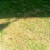 Express landscaping llc Logo
