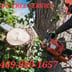 Watermark Landscaping and Tree service Logo