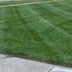 Epic Lawn Care Logo