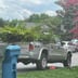 Sanche’z landscaping Logo