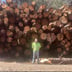 T's tree service & lawn maintenance Logo
