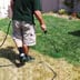 Lawn scape kings Logo