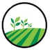 Saenz Mow's Logo