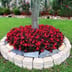 Steven lawncare Logo
