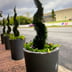 Kg landscaping  llc Logo