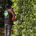 Tactical Landscape Care LLC Logo