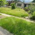 CB Landscaping Logo