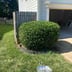 Noah Owens LawnCare Services Logo