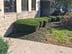 Brandon's professional touch lawn maintenance Logo