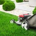 Navarro Lawn Care Logo