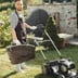 Affordable lawn care Logo
