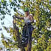 Rock Solid Tree & Landscape Service's L.L.C Logo