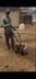 Linear Lawncare Logo