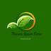 Torres Lawn Care Logo