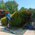 Lawn Bud Logo