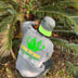 King grass Logo