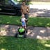 lovely lawn care Logo